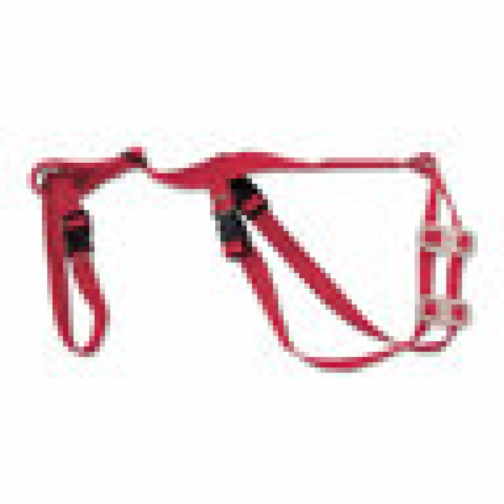 Cox & Ritchey Ewe Truss / Sheep Prolapse Truss Cox & Ritchey Ewe Truss / Sheep Prolapse Truss