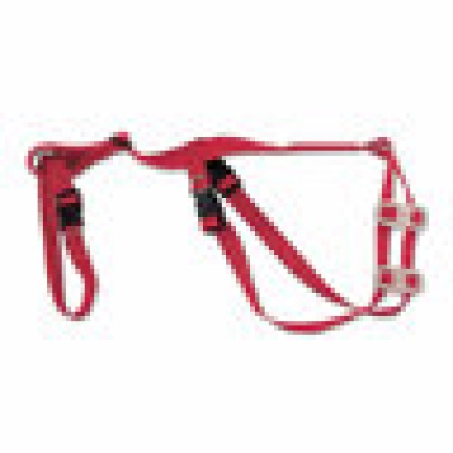 Cox & Ritchey Ewe Truss / Sheep Prolapse Truss