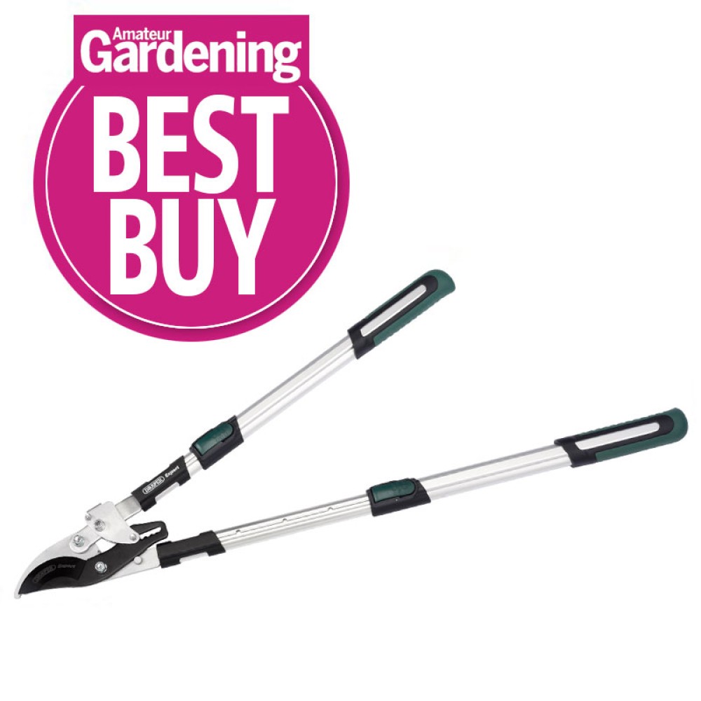 Draper Expert Telescopic Soft Grip Bypass Ratchet Action Loppers with Aluminium Handles