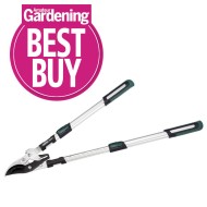 Draper Expert Telescopic Soft Grip Bypass Ratchet Action Loppers with Aluminium Handles