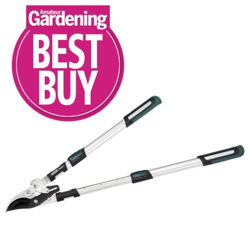 Draper Expert Telescopic Soft Grip Bypass Ratchet Action Loppers with Aluminium Handles