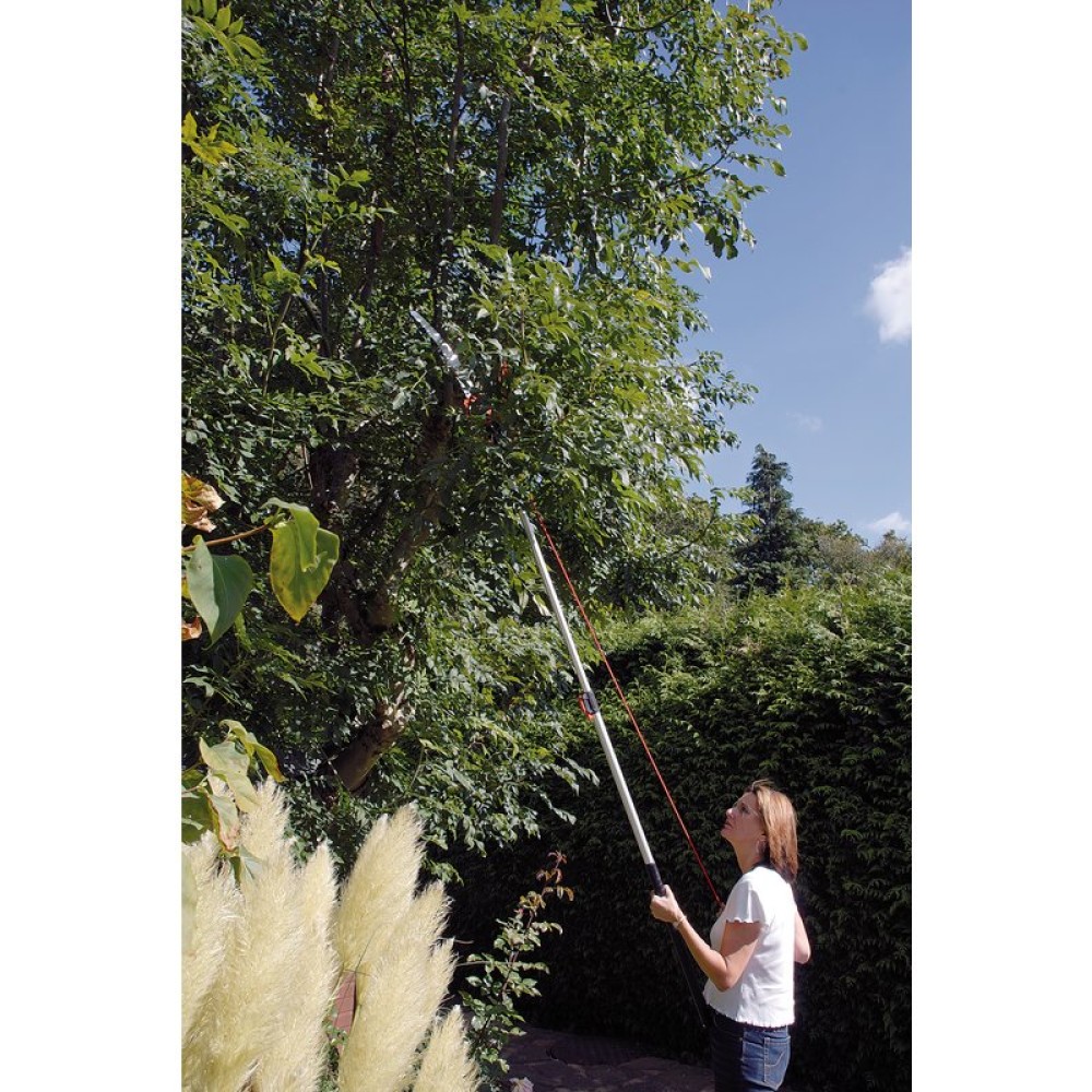 Draper Expert Tree Pruner with Telescopic Handle 32mm Diameter