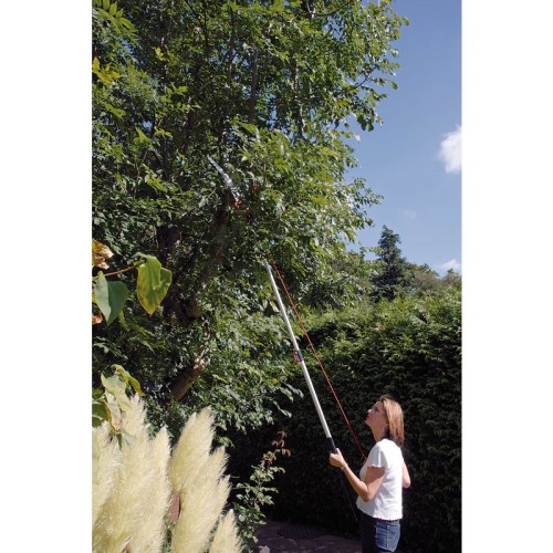 Draper Expert Tree Pruner with Telescopic Handle 32mm Diameter