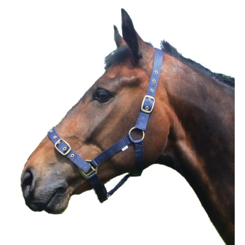 Economy Nylon Headcollar