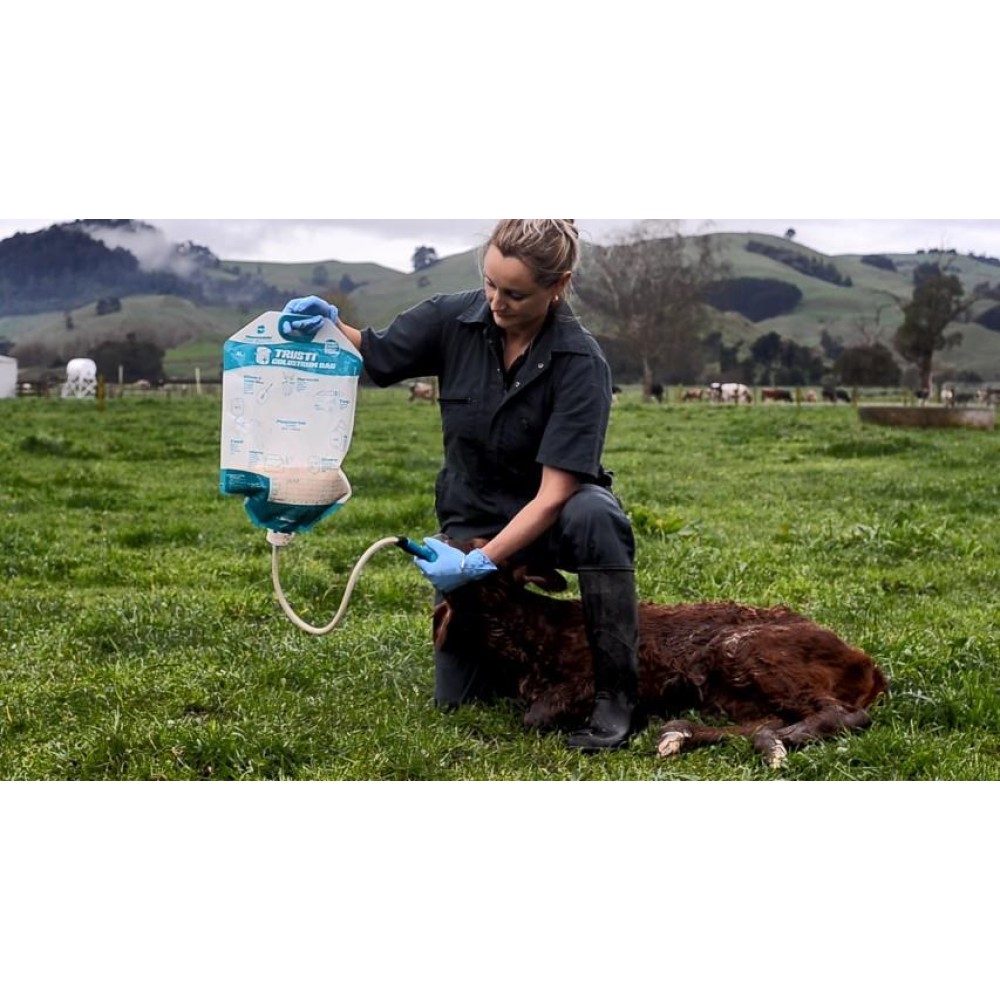 Trusti Colostrum Bag 4l Set - 5 Pack