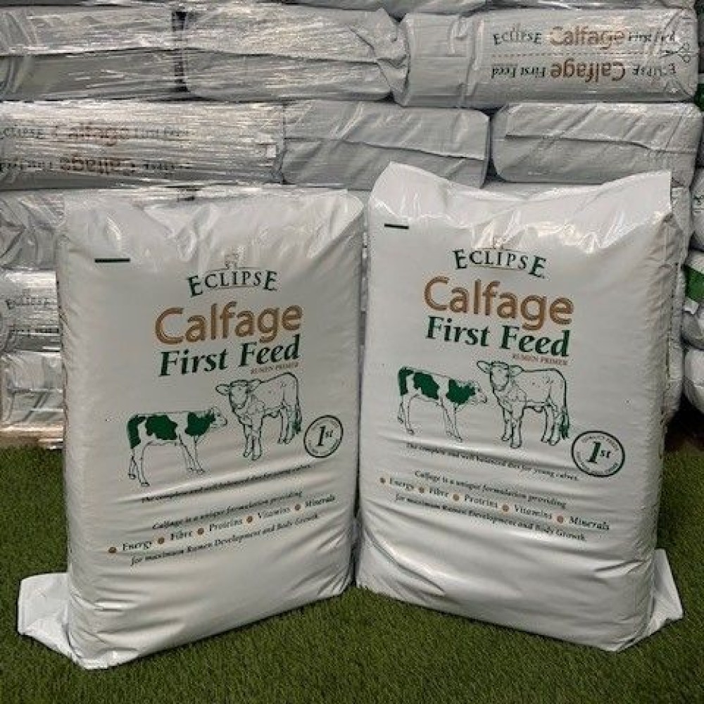 Eclipse Calfage First Feed Eclipse Calfage First Feed
