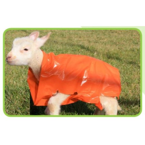 Ritchey Lamb Covers Single Lamb Biodegradable Orange 100 Pack