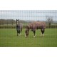 Tornado Torus Stiff Stay R13/120/5 High Tensile Horse 50m