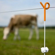 Gallagher Pigtail Post Orange