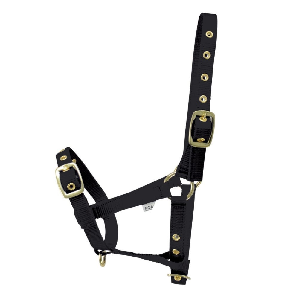 HY EQUESTRIAN FOAL HEADCOLLAR