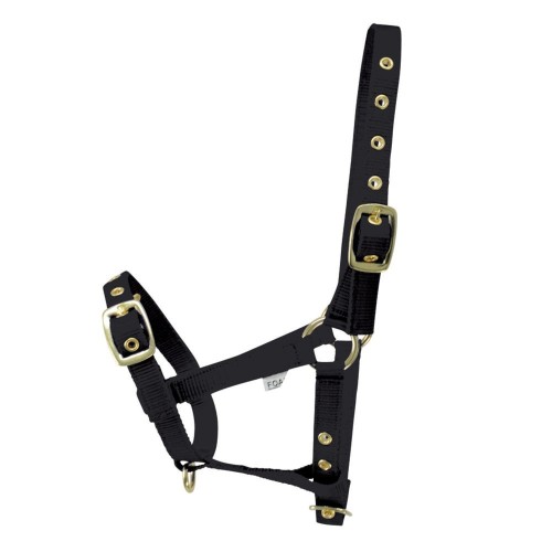 HY EQUESTRIAN FOAL HEADCOLLAR