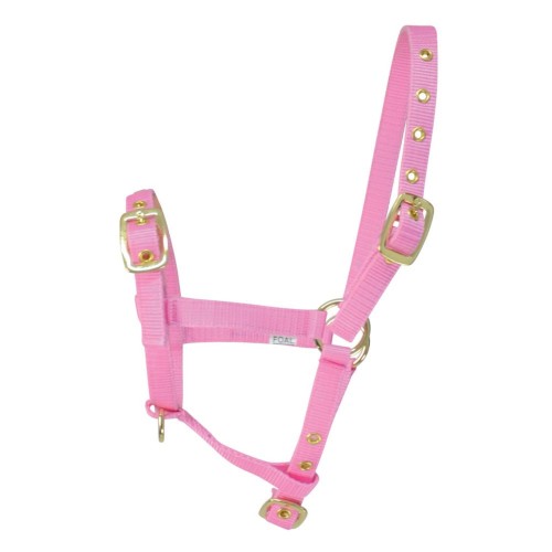 HY EQUESTRIAN FOAL HEADCOLLAR