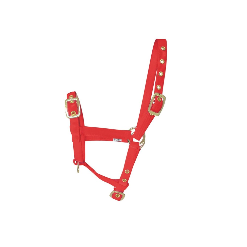HY EQUESTRIAN FOAL HEADCOLLAR
