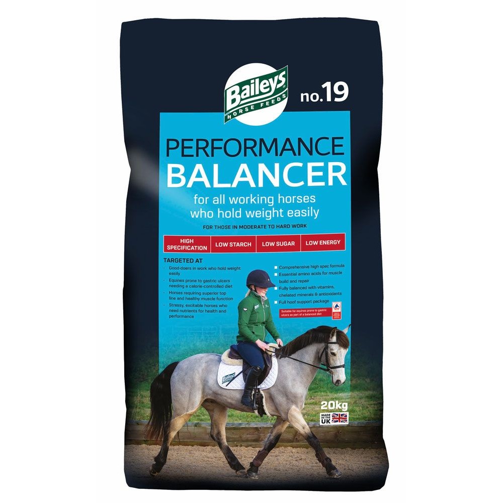 Baileys No.19 Performance Balancer Baileys No.19 Performance Balancer