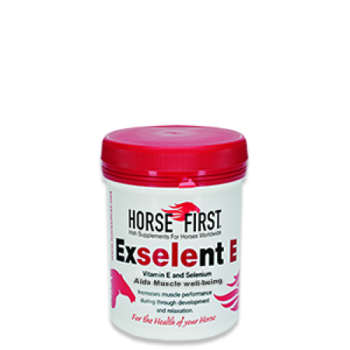 Horse First Exselent E