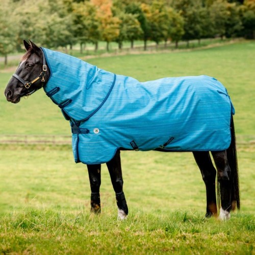 Amigo 900D Revive Plus Turnout 200g