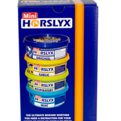 Horslyx Mini 650gram Tub