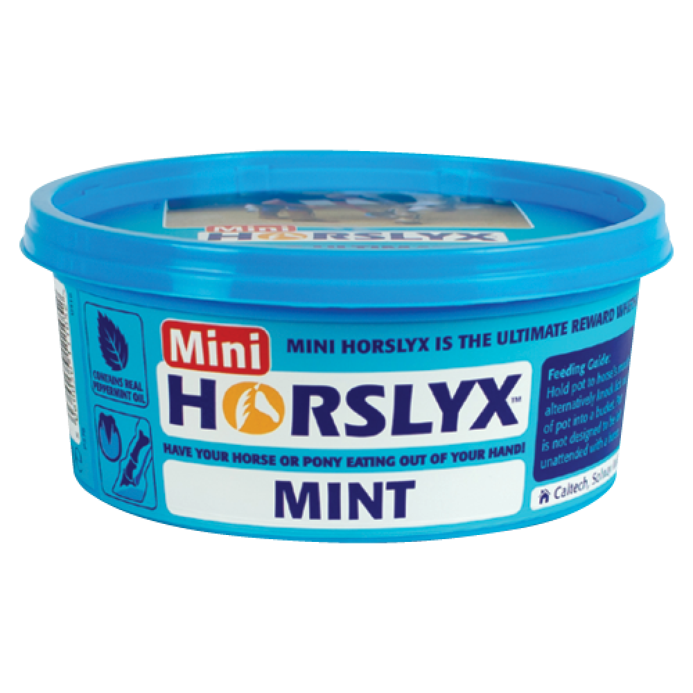 Horslyx Mini 650gram Tub Horslyx Mini 650gram Tub