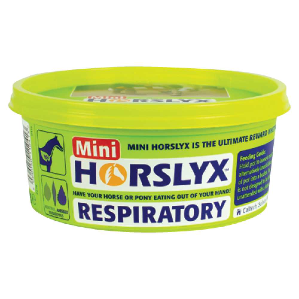 Horslyx Mini 650gram Tub Horslyx Mini 650gram Tub