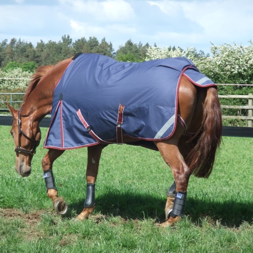 Keadeen Outdoor Rug Standard Neck