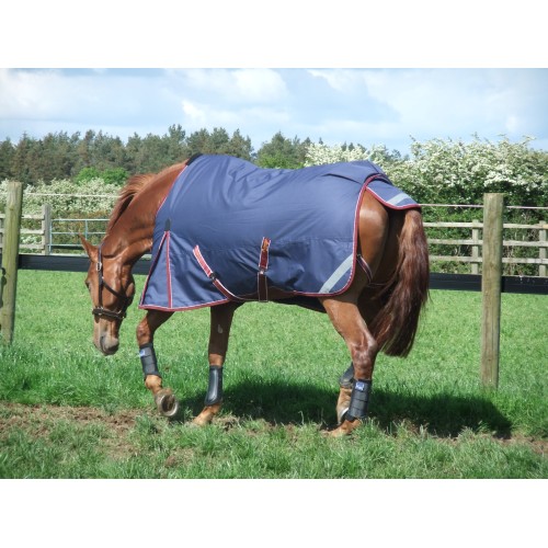 Keadeen Outdoor Rug Standard Neck