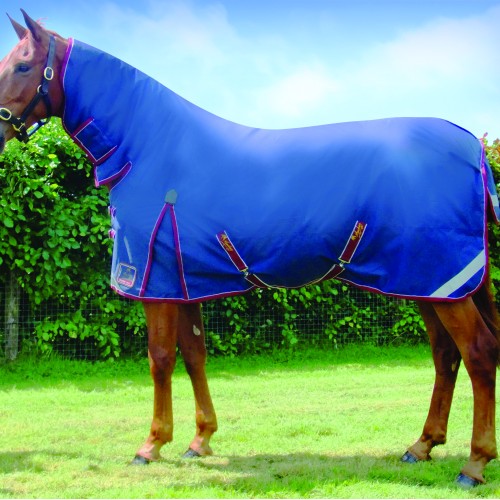 Mackey Keadeen Full Neck Outdoor Rug