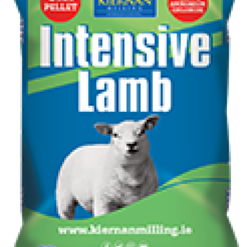 Kiernan Milling Intensive Lamb Pellets