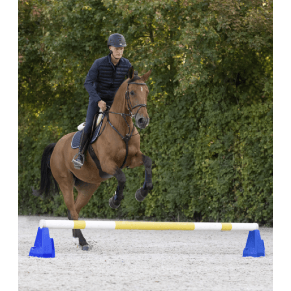 Cavaletti Block - Blue Pair Cavaletti Block - Blue Pair