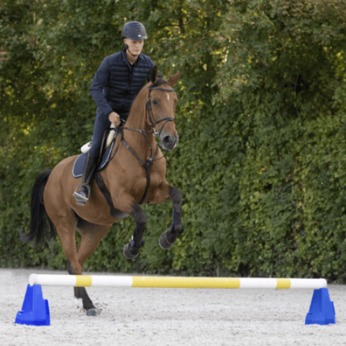 Cavaletti Block - Blue Pair