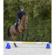 Cavaletti Block - Blue Pair Cavaletti Block - Blue Pair