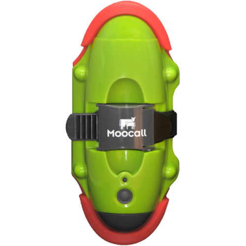Moocall Calving Sensor