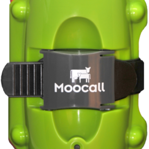 Moocall Calving Sensor
