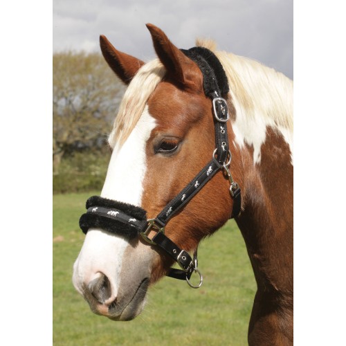 Rhinegold Head Collar Padded with Logo