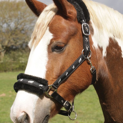 Rhinegold Head Collar Padded with Logo
