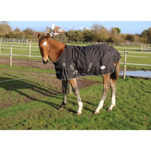 Rhinegold Konig Foal Outdoor Rug