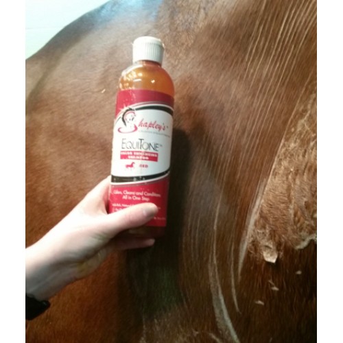 Shapleys Equitone Shampoo 473ml
