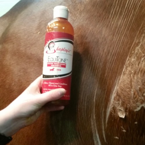 Shapleys Equitone Shampoo 473ml