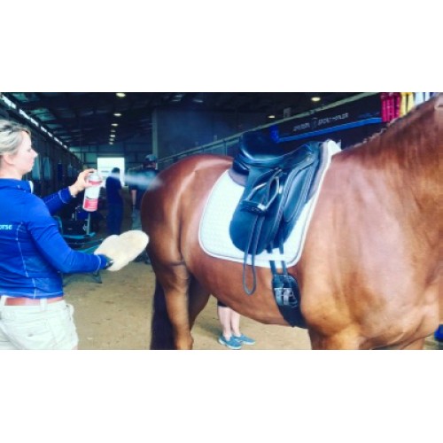 Shapleys Hi Gloss Finishing Spray