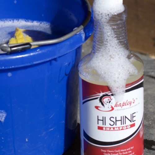 Shapleys Hi Shine Shampoo 946ml