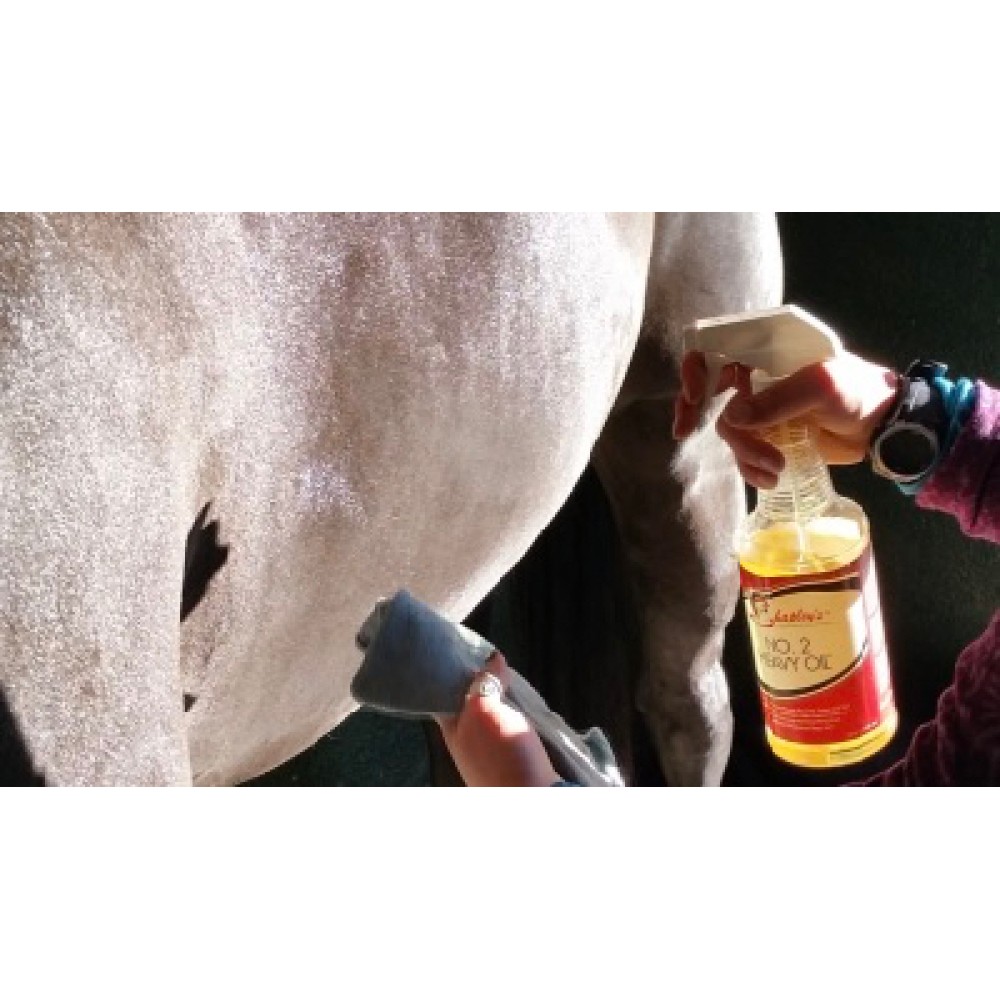 Shapleys Heavy Oil No.2