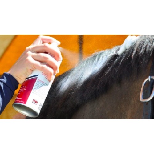 Shapleys Mane Mousse Spray 14Oz