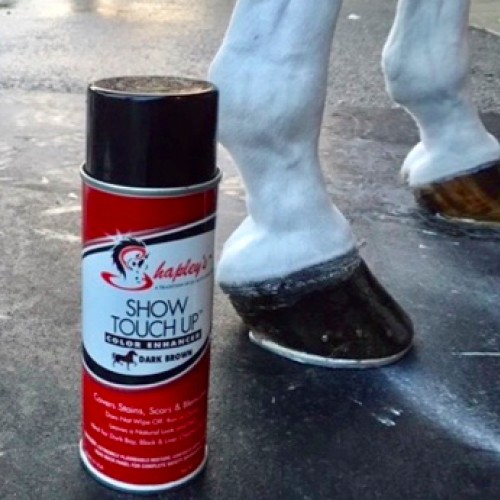 Shapleys Show Touch Up Spray 10Oz