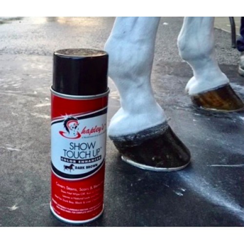 Shapleys Show Touch Up Spray 10Oz