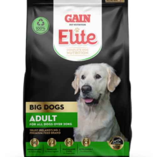 Gain Elite BigDog Adult 12kg
