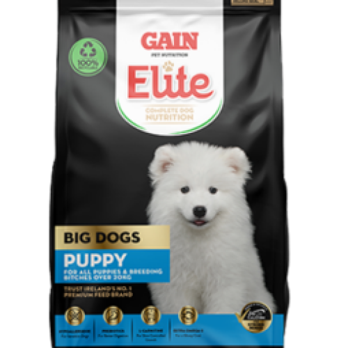 Gain Elite Bigdog Puppy 12kg