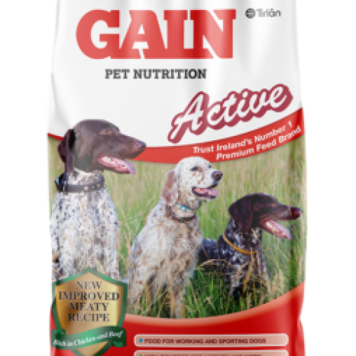 Gain Active Dog Foog 15kg