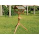CHEEKO ARDEN TRAD BIRD TABLE 48" CHEEKO ARDEN TRAD BIRD TABLE 48"