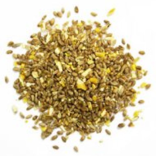 Fancy Feed Mixed Corn