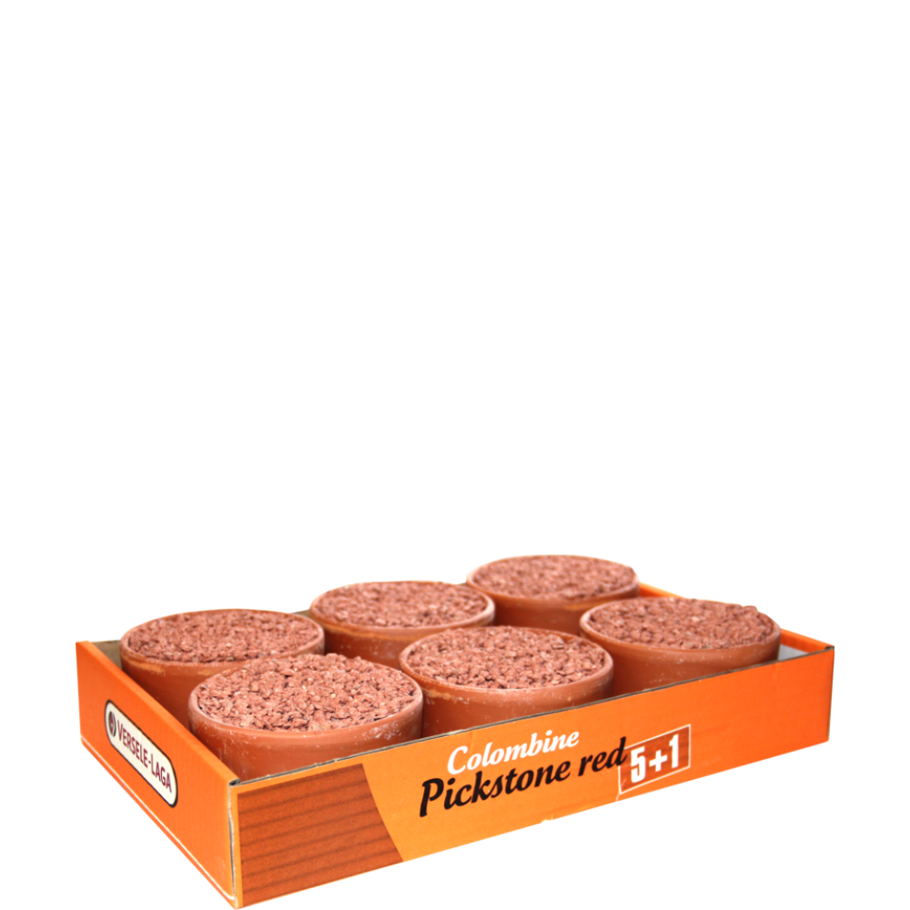 Versele Laga Colombine Pickstone Red 5 + 1 Versele Laga Colombine Pickstone Red 5 + 1