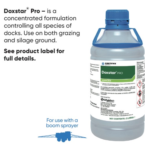 DOXSTAR PRO 2LTR DOXSTAR PRO 2LTR